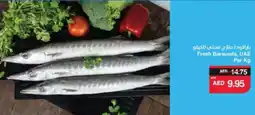 Spar Fresh Baracuda, offer