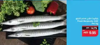 Spar Fresh Baracuda, offer