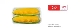 Carrefour Sweet Corn offer