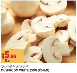 Géant Mushroom white offer