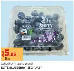 Géant Elite blueberry offer