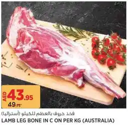 Géant Lamb leg bone in C offer