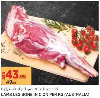 Géant Lamb leg bone in C offer