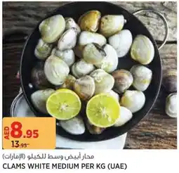 Géant Clams white medium offer