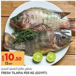Géant Fresh tilapia offer
