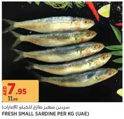 Géant Fresh small sardine offer