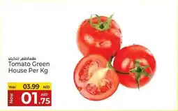 Kenz Hypermarket Tomato Green House offer
