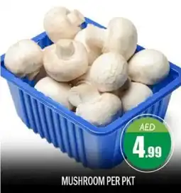 Bigmart Mushroom offer