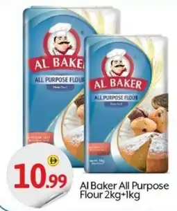 Bigmart Al Baker All Purpose Flour offer
