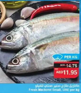 Spar Fresh Mackerel Small offer