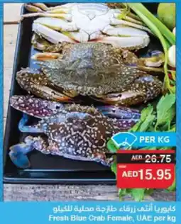 Spar Fresh Blue Crab Female offer