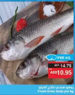 Spar Fresh Roho offer