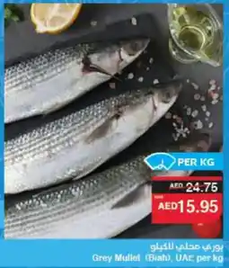 Spar Grey Mullet Biah offer