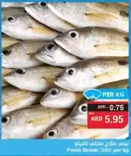 Spar Fresh Neisar offer