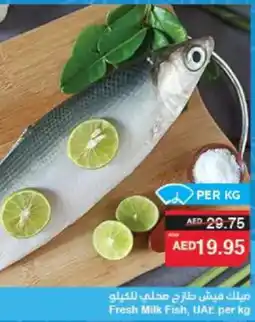Spar Fresh Milk Fish offer