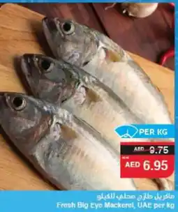 Spar Fresh Big Eye Mackerel offer