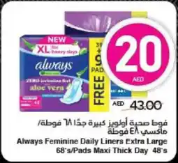 Spar Always Feminine Daily Liners Extra Large /Pads Maxi Thick Day offer
