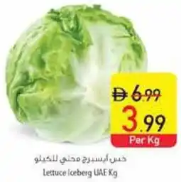 Safeer Market Lettuce Iceberg offer