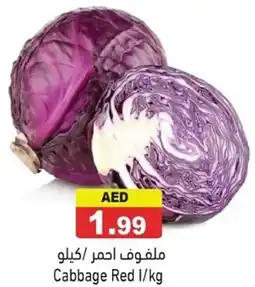 Ramez Cabbage Red offer