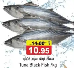 Ramez Tuna Black Fish offer