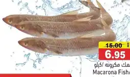 Ramez Macarona Fish offer