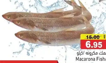 Ramez Macarona Fish offer