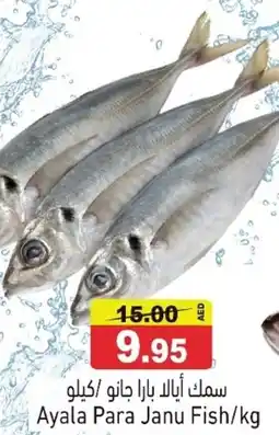 Ramez Ayala Para Janu Fish offer