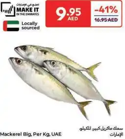 Carrefour Mackerel Big offer
