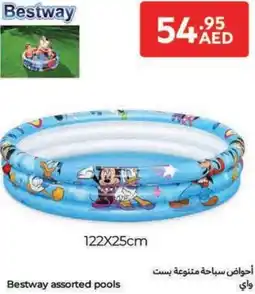 Carrefour Bestway assorted pools offer