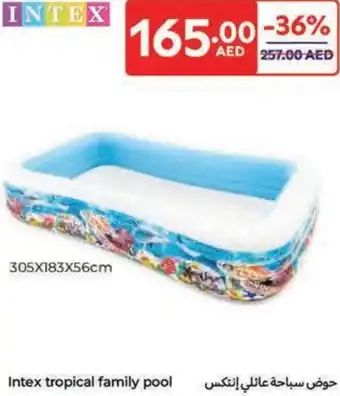 Carrefour Intex tropical family pool offer