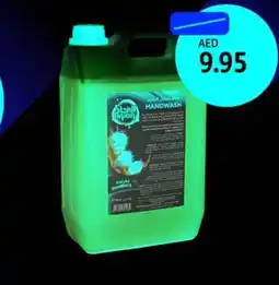 Union Coop Union Hand Wash Liquid Assorted offer