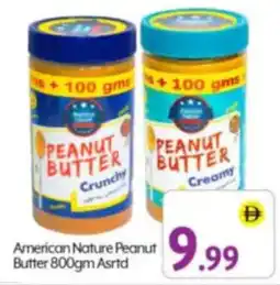 Bigmart American Nature Peanut Butter Asrtd offer