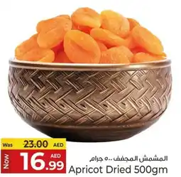 Kenz Hypermarket Apricot Dried offer