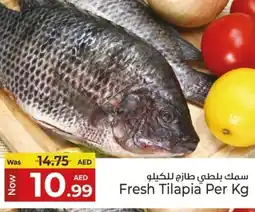 Kenz Hypermarket Fresh Tilapia offer