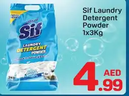 Day To Day Sif Laundry Detergent Powder offer