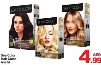 Day To Day Sea Color Hair Color Asstd offer