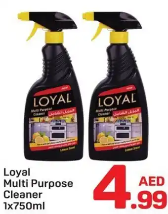 Day To Day Loyal Multi Purpose cleaner offer