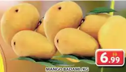 Grand Mall Sharjah Mango badami offer