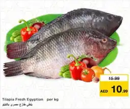Nesto Tilapia Fresh Egyptian offer
