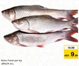 Nesto Rohu Fresh offer