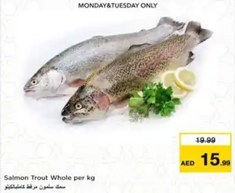Nesto Salmon Trout Whole offer