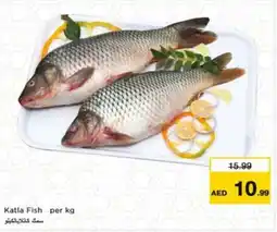 Nesto Katla Fish offer