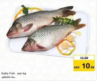 Nesto Katla Fish offer