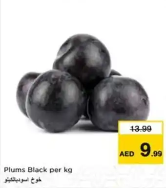 Nesto Plums Black offer