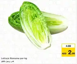 Nesto Lettuce Romaine offer