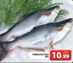 Grand Hyper Market Pangush fish offer