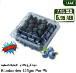 Almaya supermarket Blueberries offer