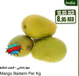 Almaya supermarket Mango badami offer