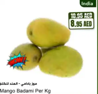 Almaya supermarket Mango badami offer