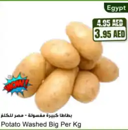Almaya supermarket Potato Washed Big offer